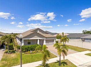 11506 Freshwater Ridge Dr, Riverview, FL 33579