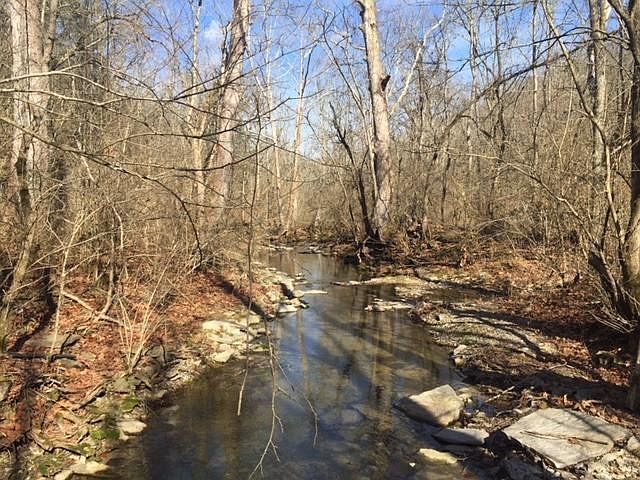 1st image of 503 Shagbark Trl
