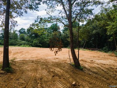 1717 County Road 1579, Baileyton, AL, 35019