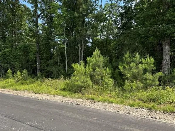 TRACT 1C Lower Rome Rd, Springfield, LA 70462