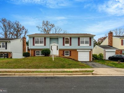 7219 Bona Vista Ct, Springfield, VA, 22150