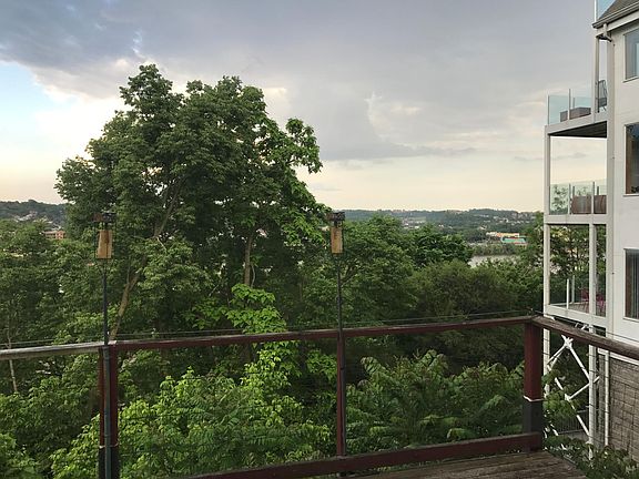 View from deck