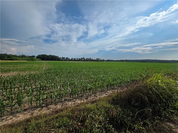 1800 E 700 North Rd, Shelbyville, IL 62565