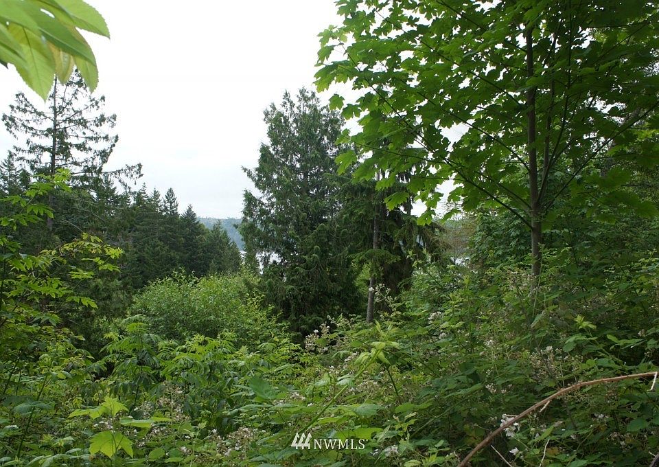 2nd image of 0 NSN Maple Lane