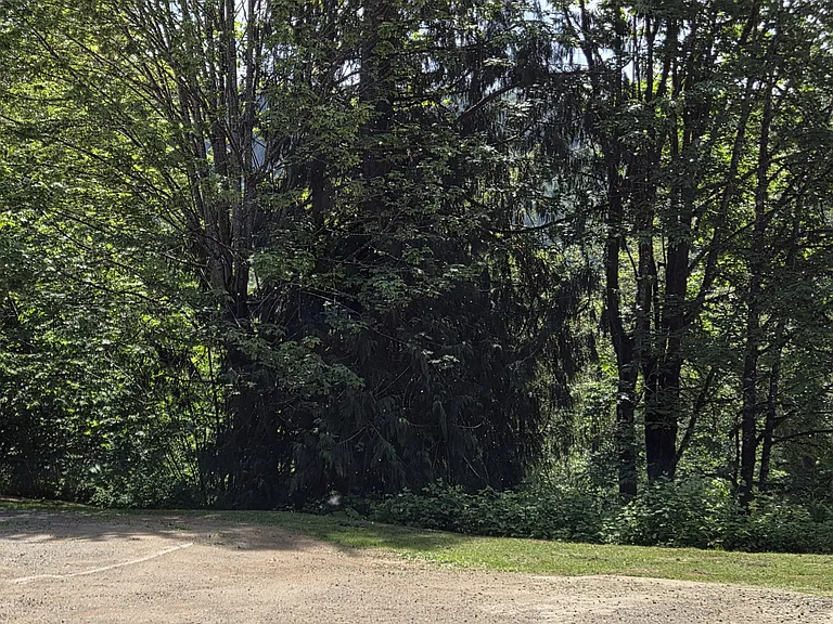 200 Cherry Ln #8 — Photo 10