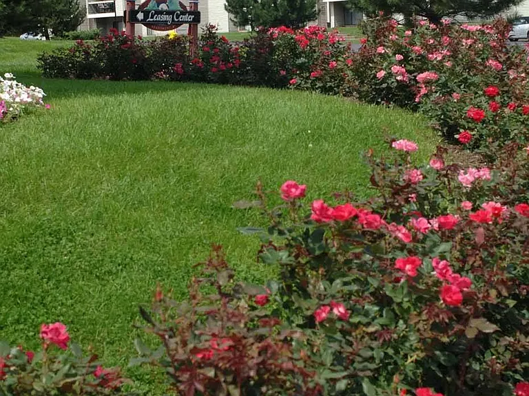 Beautiful Grounds