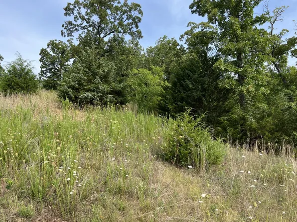 Lot 263 Weatherstone Dr, Branson West, MO 65737