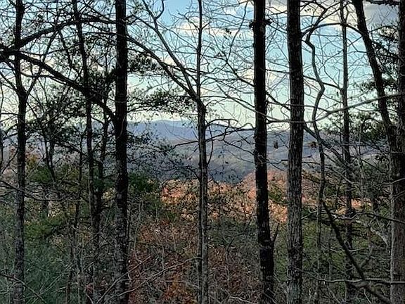 2nd image of 49 Mission Rd