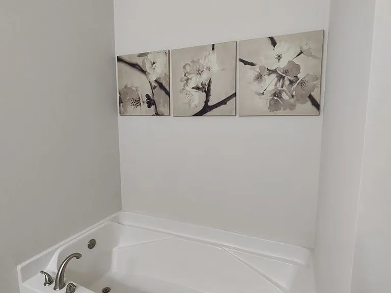 3350 Pampas Dr — Photo 14