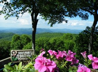 134 Hawthorn Rd, Banner Elk, NC 28604