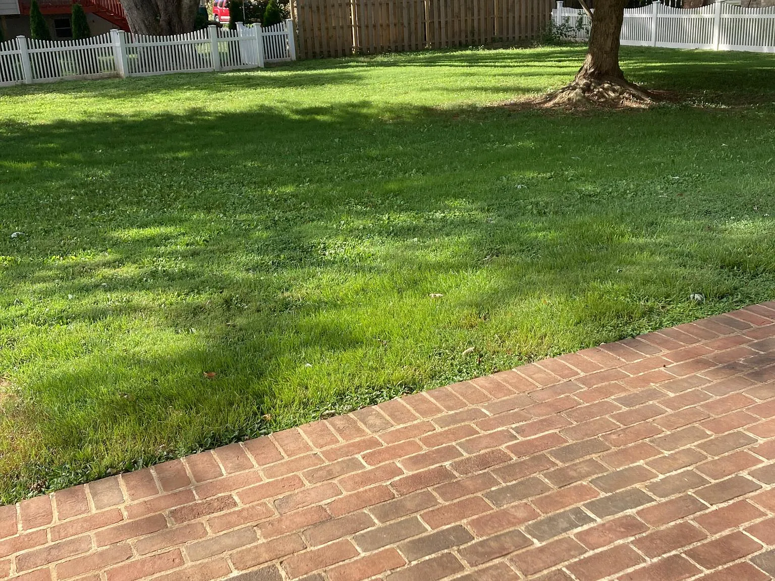 709 Dogwood Ln — Photo 3