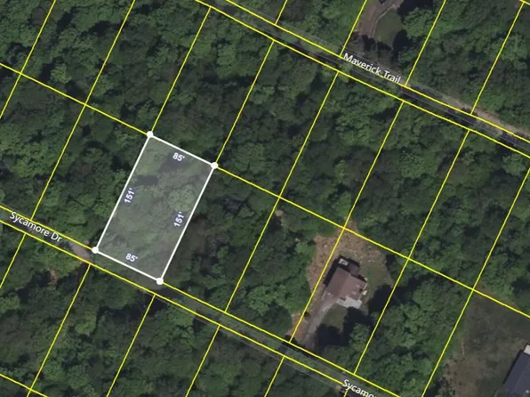 55 Sycamore Dr, Newfoundland, PA 18445