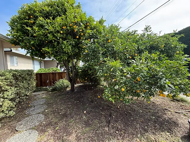 226 Getchell St — Photo 29
