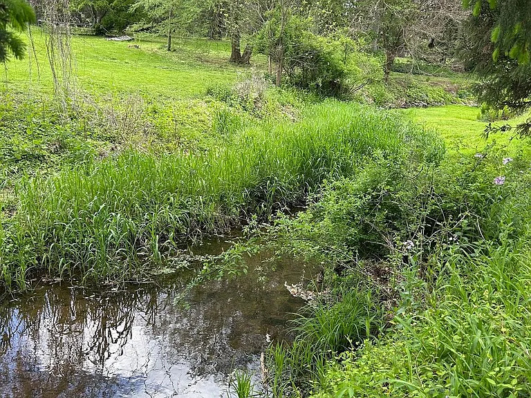 4 Cross Creek Ln — Photo 3