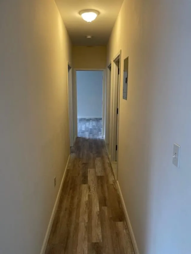 video 1