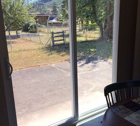 View to backyard