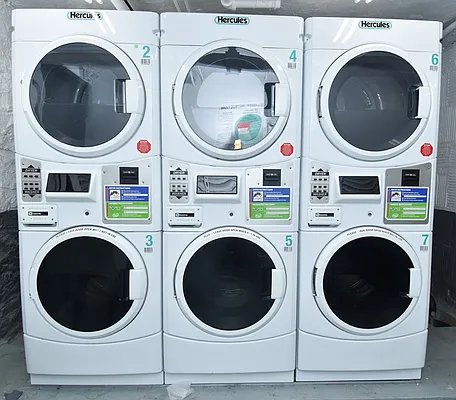 Rented by Bold New York | media 31