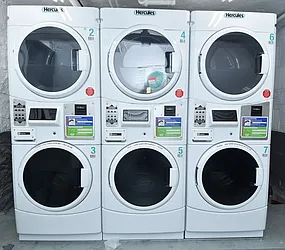 Rented by Bold New York