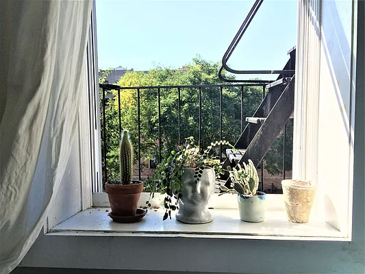 Rented by The Hamilton Group | media 23