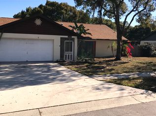 1011 Black Knight Dr, Valrico, FL 33594