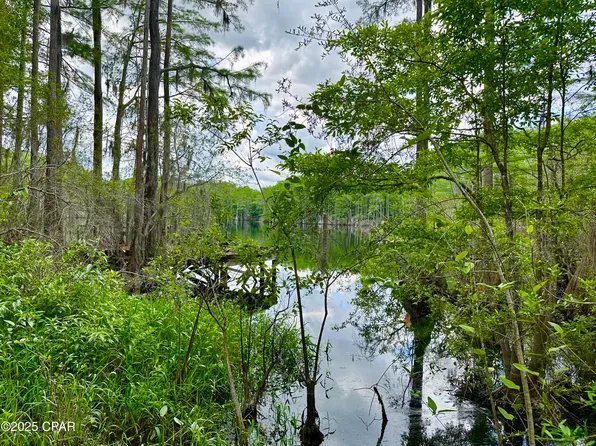4661 Moss Hill Rd, Chipley, FL 32428