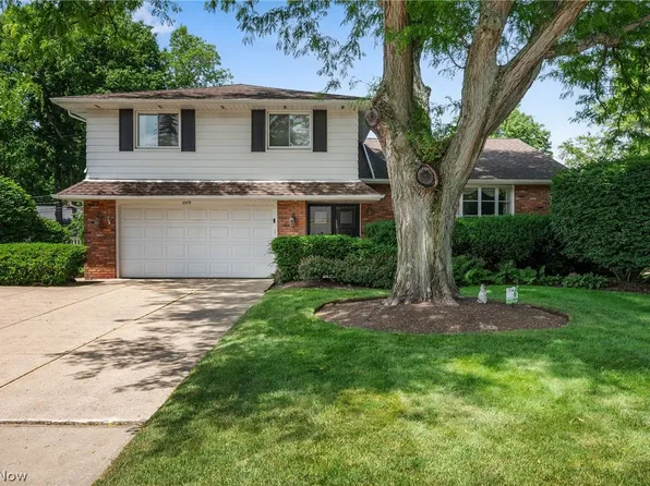 5379 Meadow Wood Blvd, Lyndhurst, OH 44124