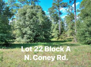 N Coney Rd Lot 22, Cordele, GA 31015