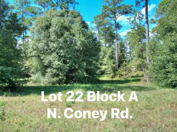 N Coney Rd Lot 22, Cordele, GA 31015