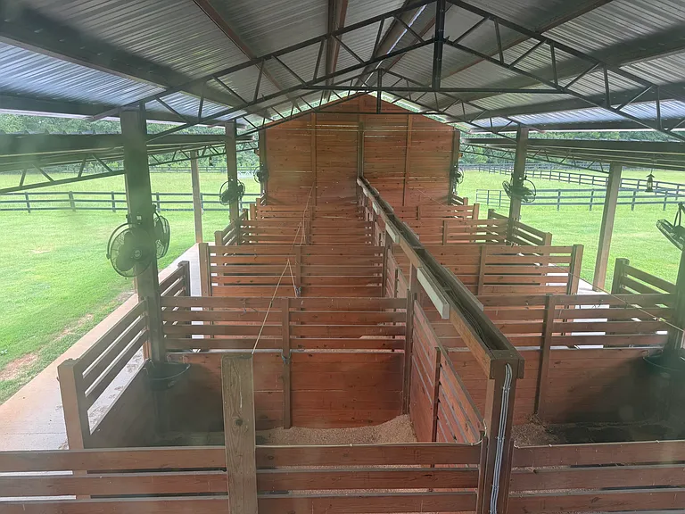 102 Deer Stand Rd — Photo 11