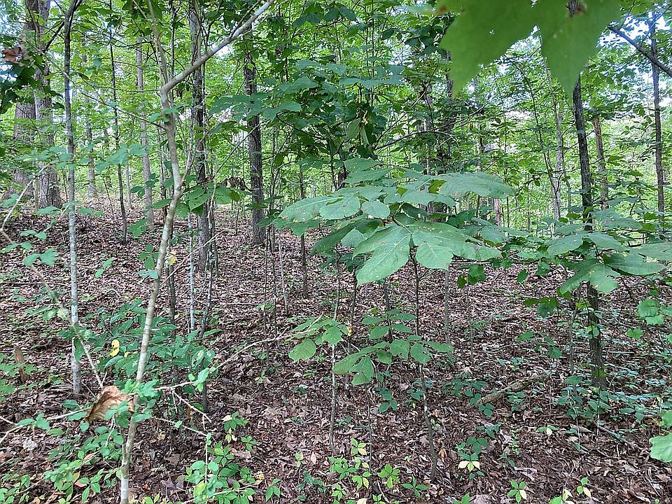 2nd image of LOT 4 Dale Dr