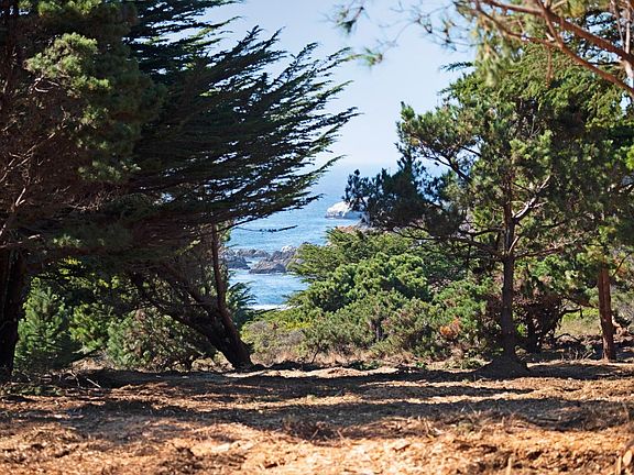 3rd image of 22070 Highway One