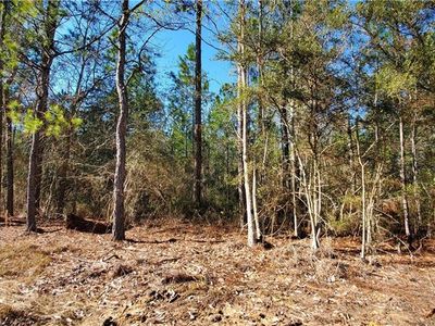 80679 Highway 21, Bush, LA, 70431
