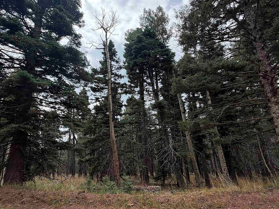 1st image of lot 1315 Pleasant Valley Overlook
