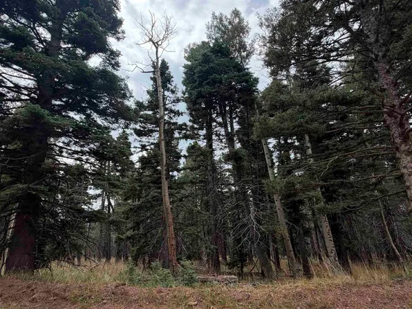 lot 1315 Pleasant Valley Overlook, Angel Fire, NM 87710