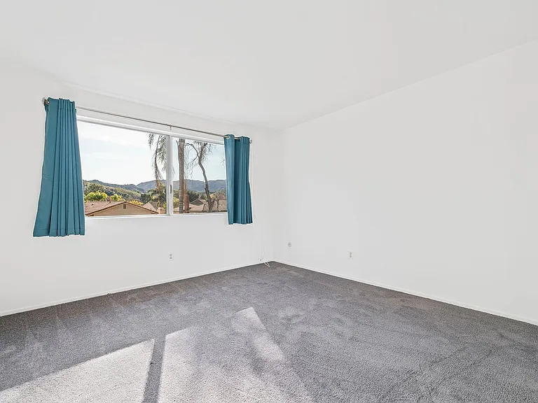 32022 Grenville Ct — Photo 23