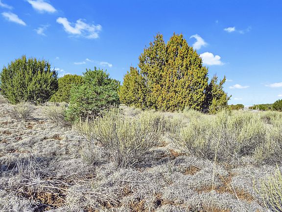 4th image of 908 E Hoctor Rd