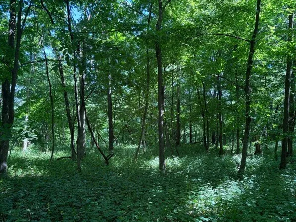 15 Navajo Ct Lot 175, Putnam, IL 61560