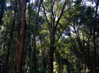 39900 River Rd, Dade City, FL 33525