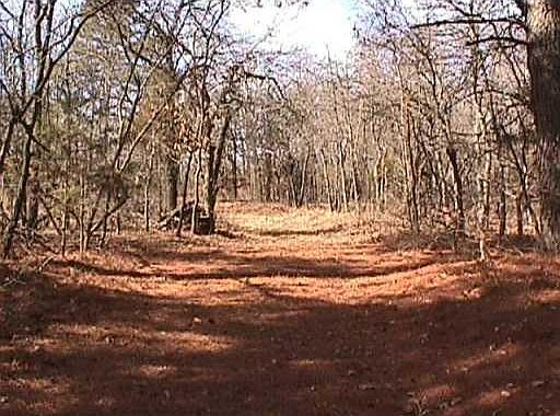 2nd image of 212 Hoffman Dr Lot 16