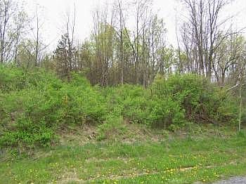 2nd image of 3 Skidmore Dr