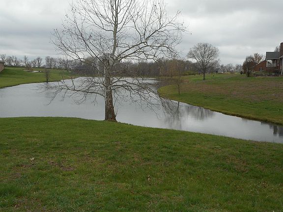 5th image of 41 Walnut Hill Ct