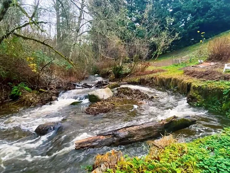 SE 216th Way — Photo 17