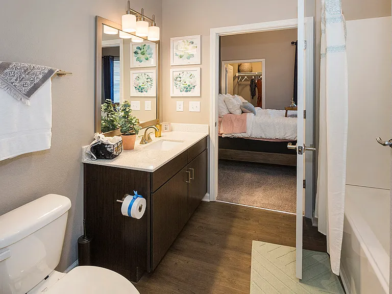 Undermount Sinks with Gooseneck Faucets