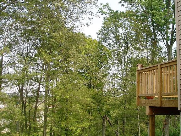 Deck and back yard.