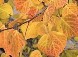 LOT 47 W Village Cir, Beaver, UT 84713