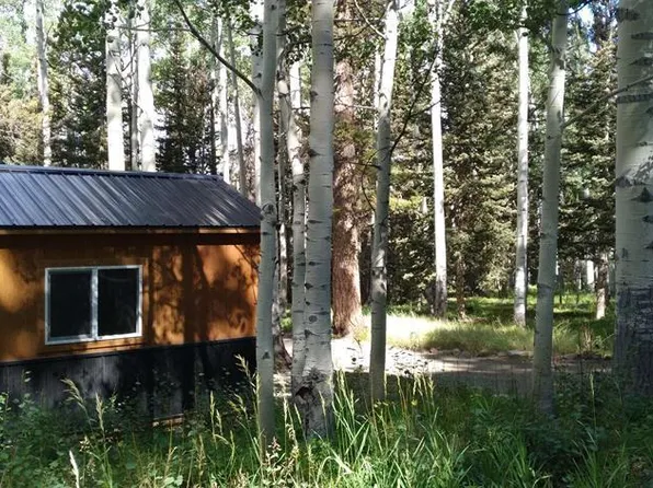 425 Ponderosa Way, Cimarron, CO 81220