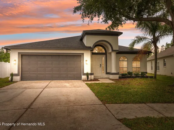 18456 Merseyside Loop, Land O Lakes, FL 34638