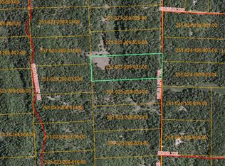 15450 Wild Life Rd, Wolverine, MI 49799