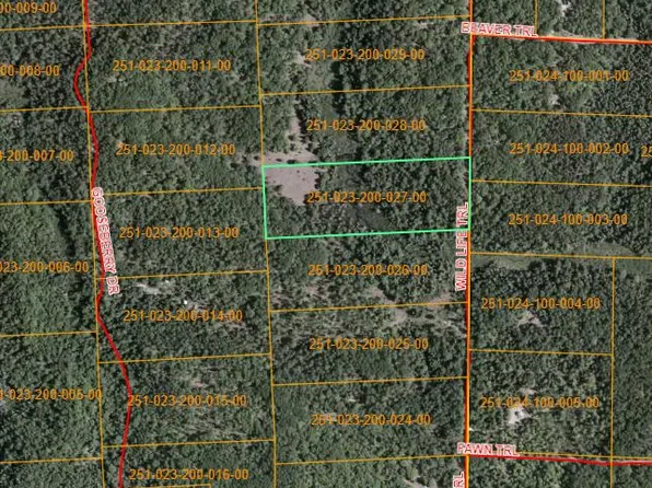 15450 Wild Life Rd, Wolverine, MI 49799