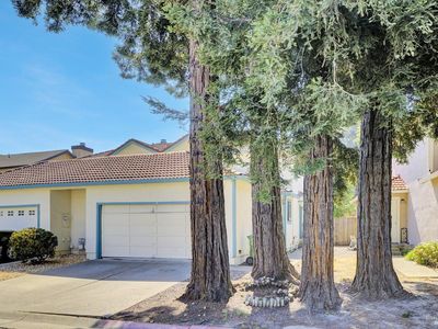 35 Freedom Place, Rohnert Park, CA, 94928
